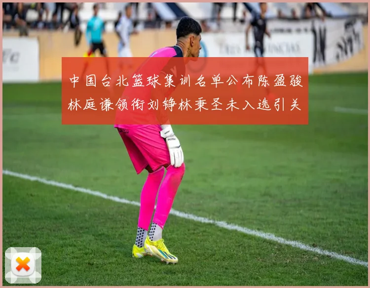 中国台北篮球集训名单公布陈盈骏林庭谦领衔刘铮林秉圣未入选引关注
