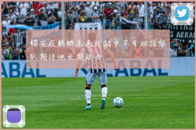锡安在鹈鹕未来计划中不可动摇球队期待他长期效力