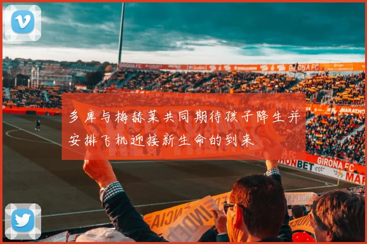 多库与梅赫莱共同期待孩子降生并安排飞机迎接新生命的到来